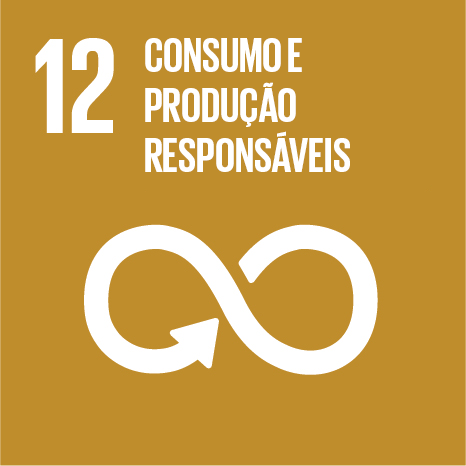 ODS 12 — Consumo Responsável