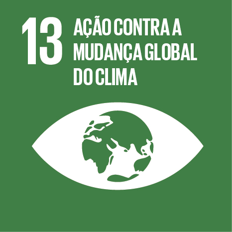 ODS 13 — Ação Climática