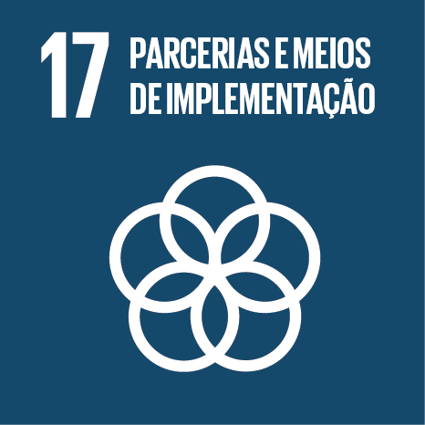 ODS 17 — Parcerias e Meios