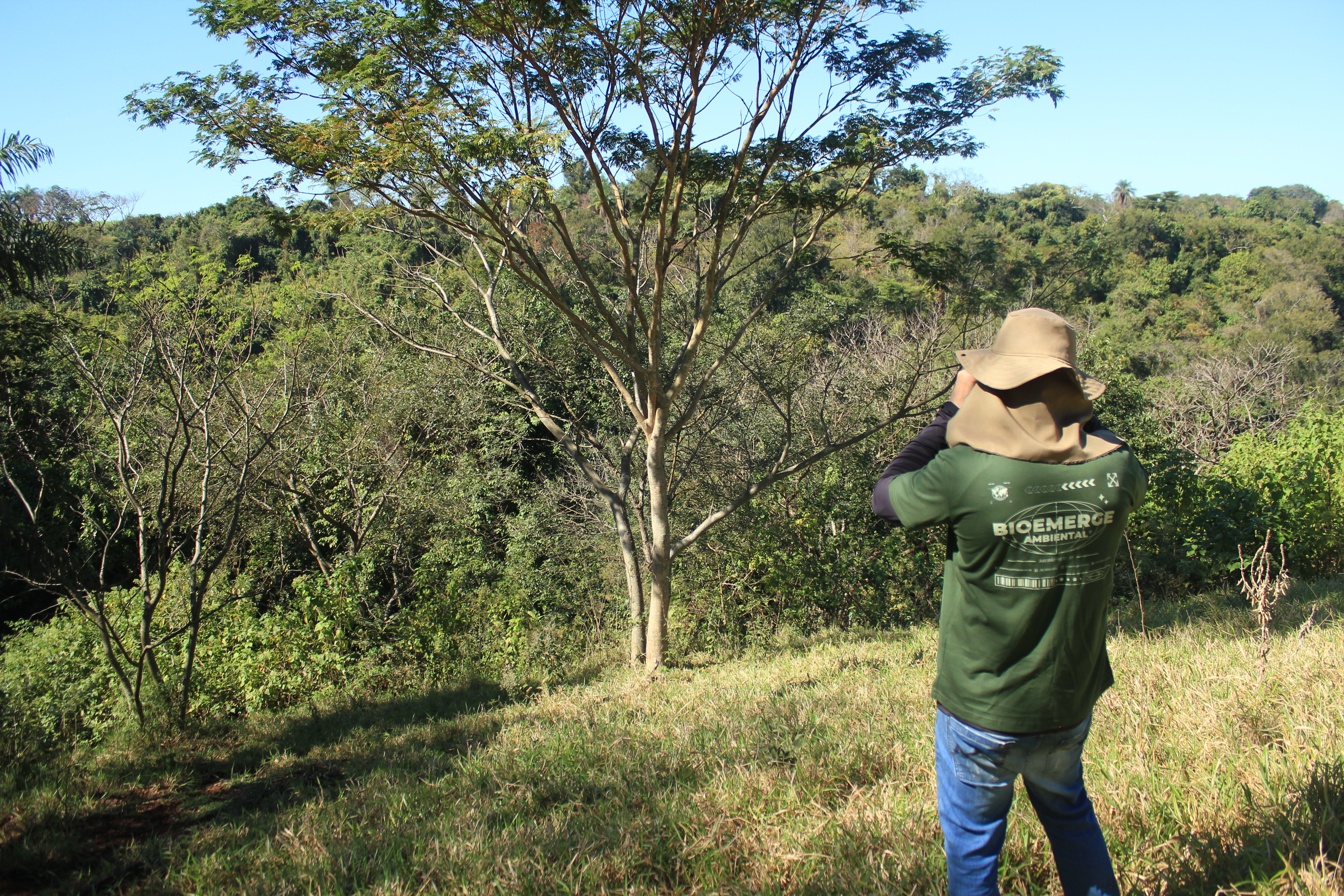 Técnico da BioEmerge fotografando árvore durante levantamento florestal em campo